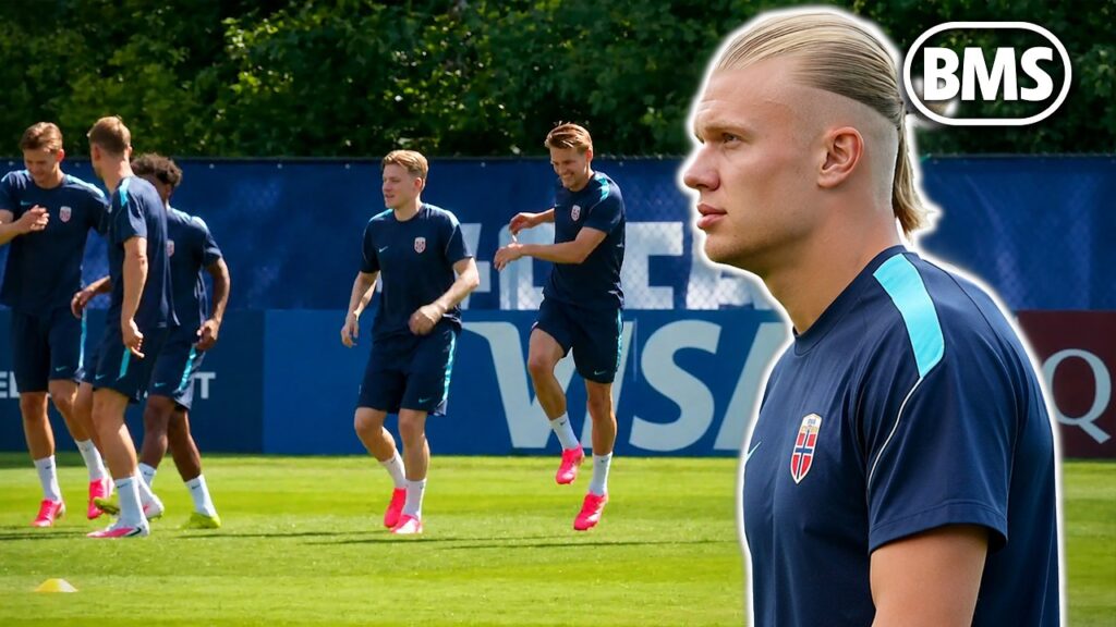 Haaland legger ned jobben