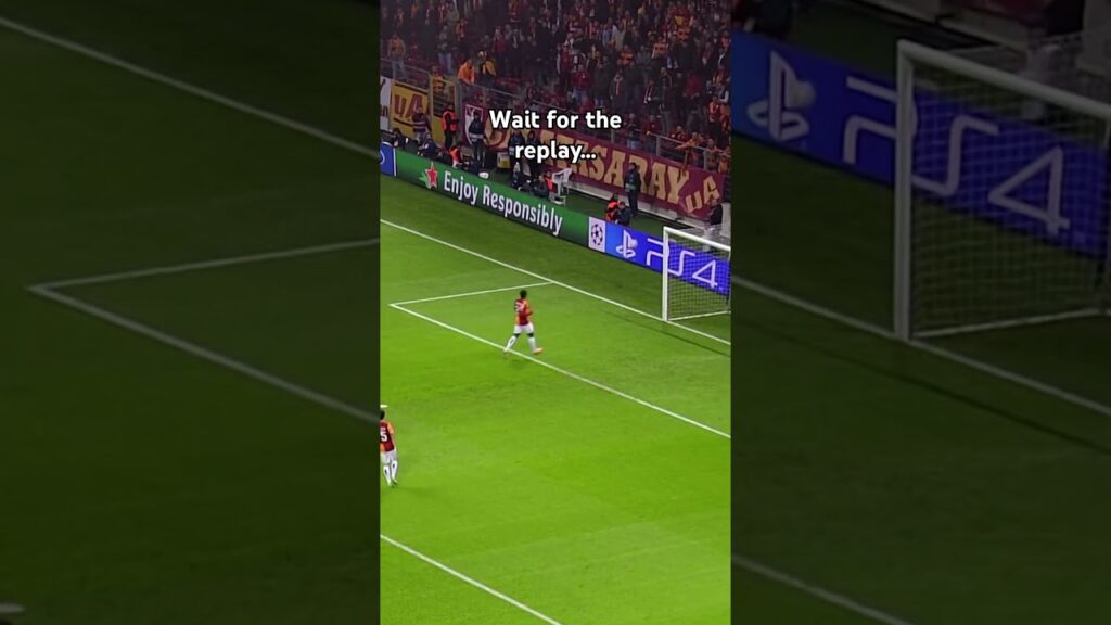 Muslera med en kjemperedning
