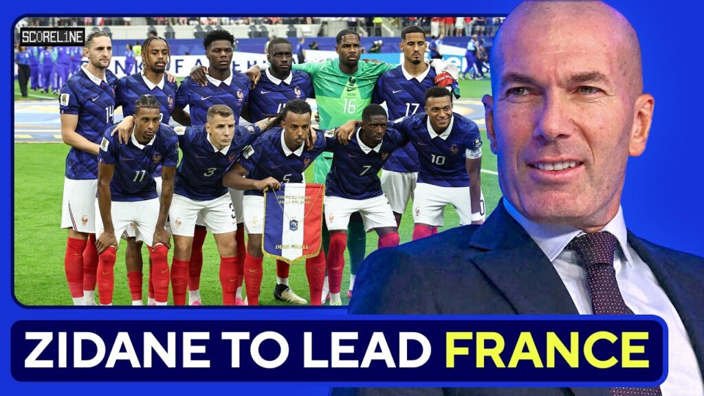 Zidane tar over Frankrike