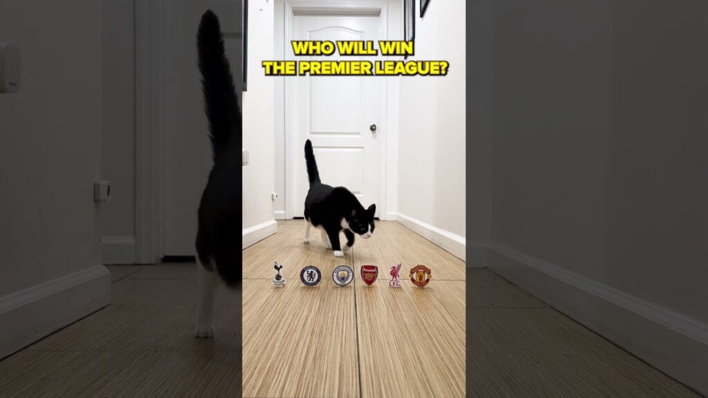 Hvem vinner Premier League?